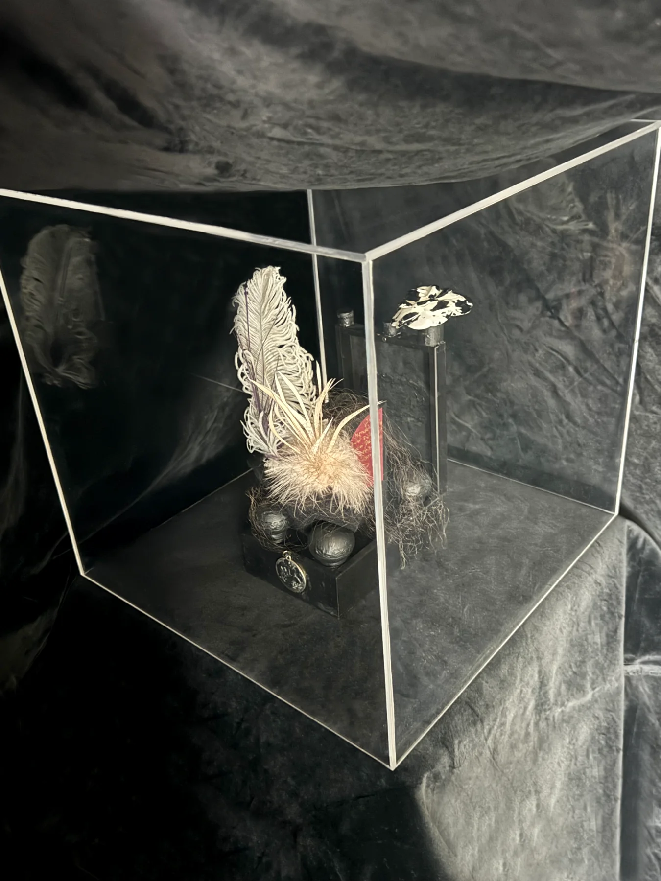 2025-Zufall-01 Skurriles Kabinett